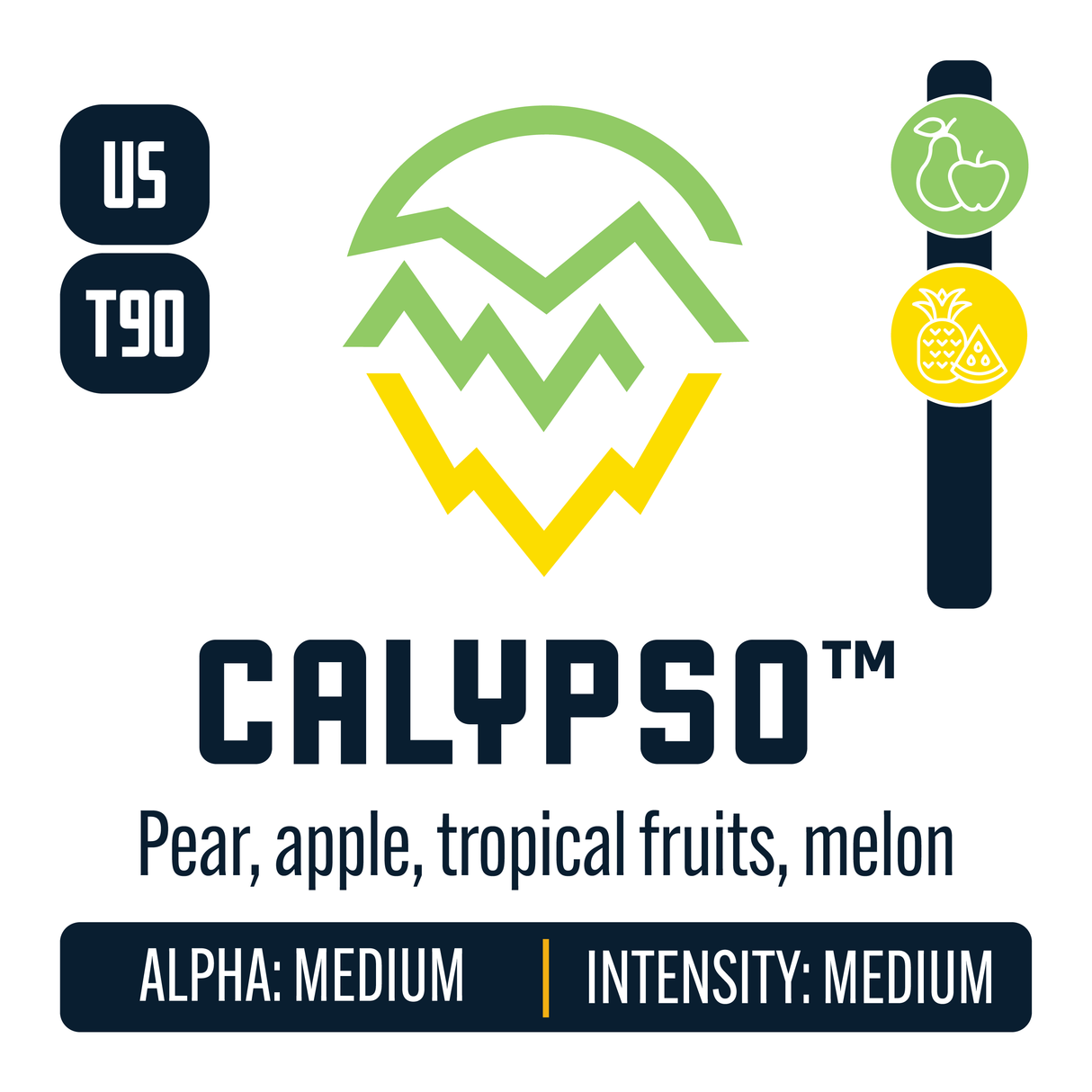 Calypso Hop Profile: Green Fruit, Sweet Fruit