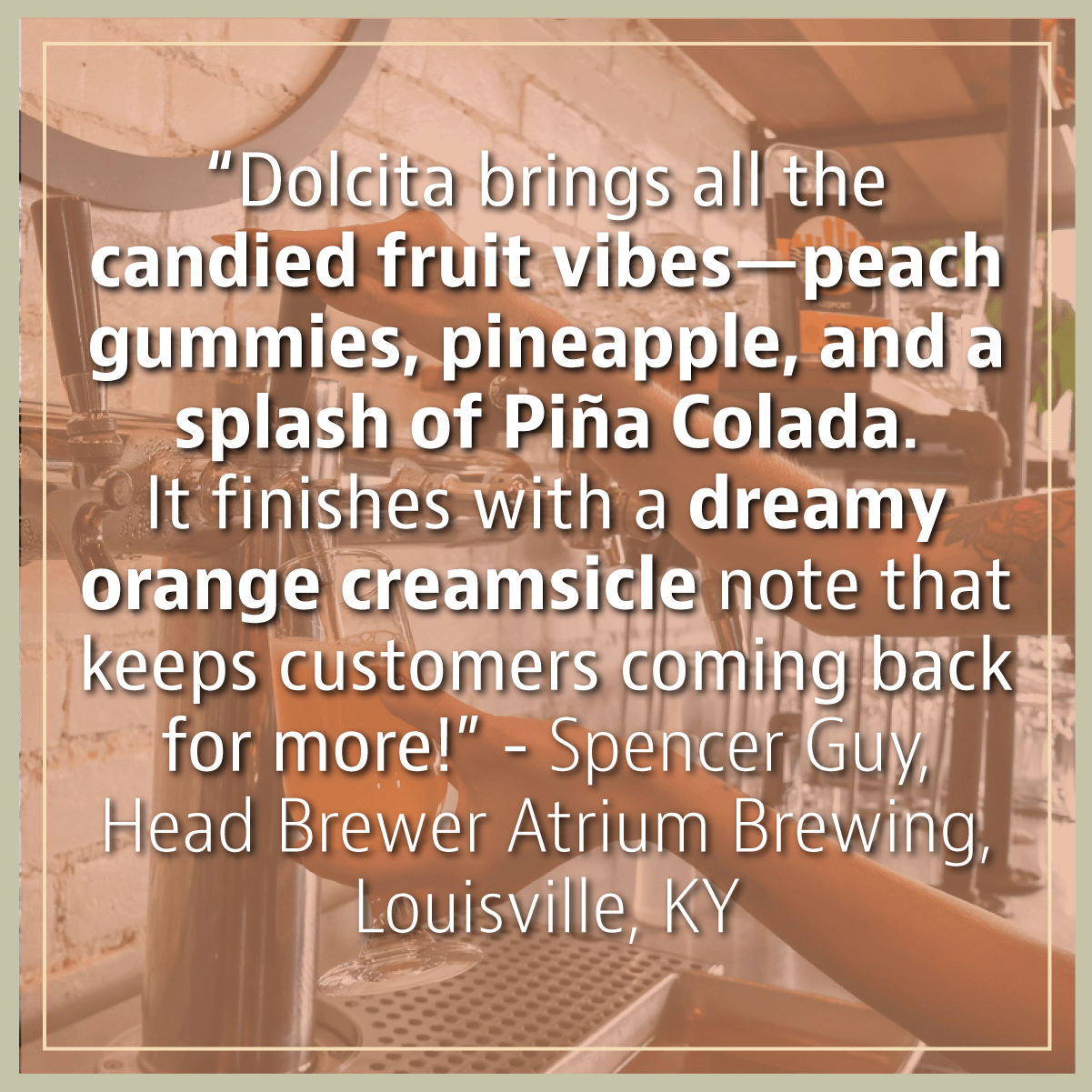 "Dolcita brings all the candied fruit vibes-peach gummies, pineapple, and a splash of Pina Colada." - Review from Spencer Guy, Head Brewer Atrium Brewing in Louisville, KY.