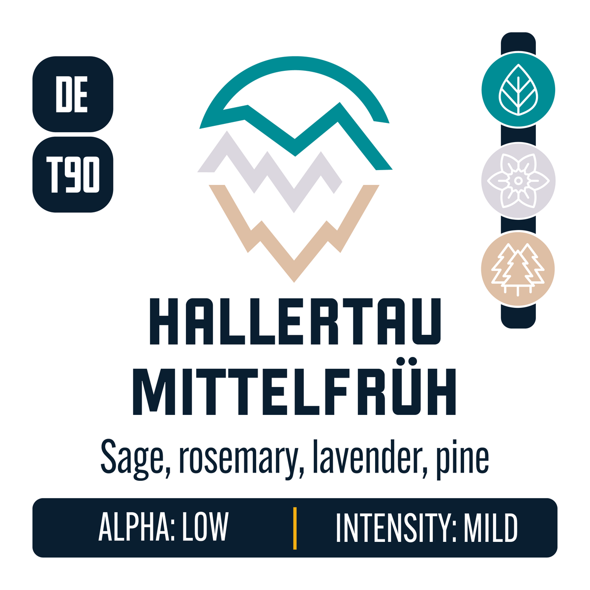 Hallertau Mittelfrüh Hops – Yakima Valley Hops