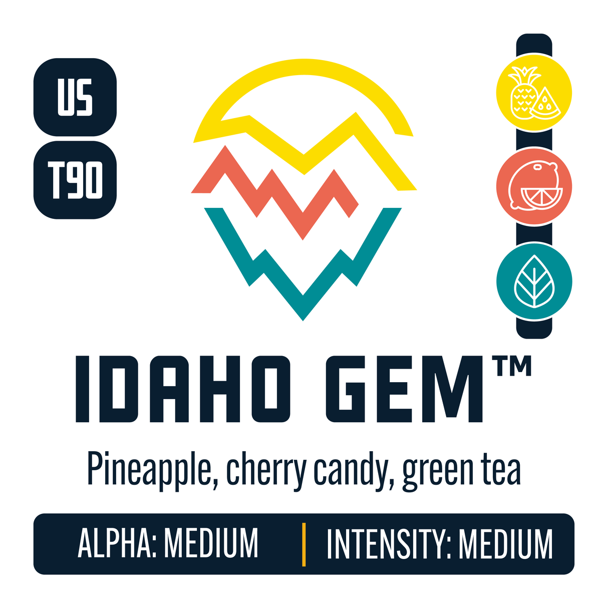 Idaho Gem Hop Profile: Sweet Fruit, Citrus, Herbal