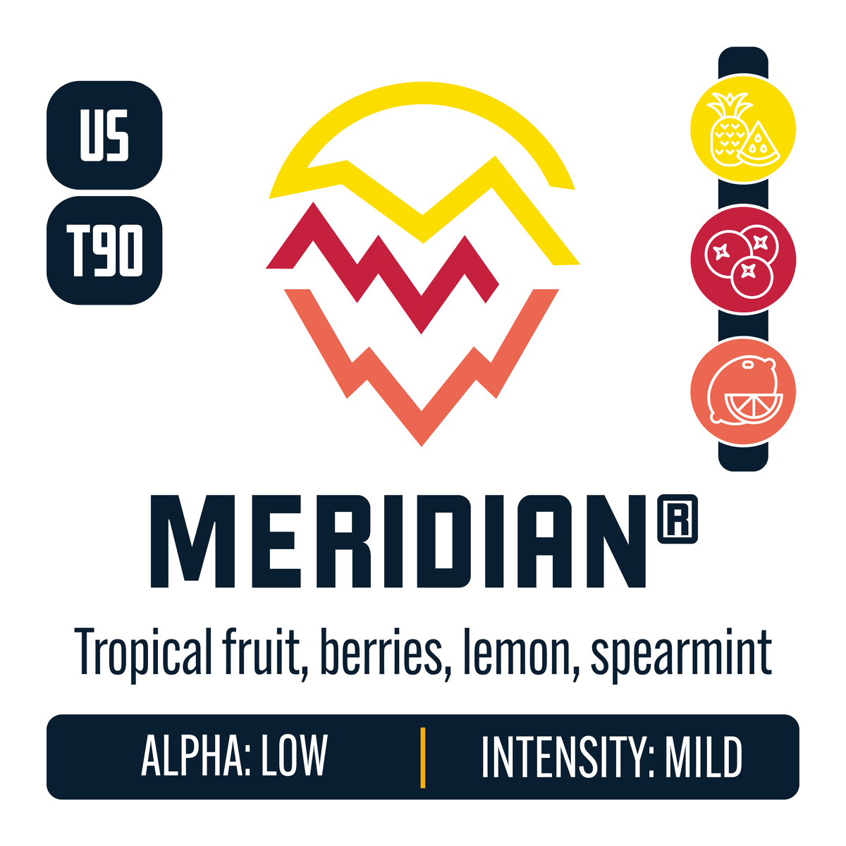 Meridian Hops – Yakima Valley Hops
