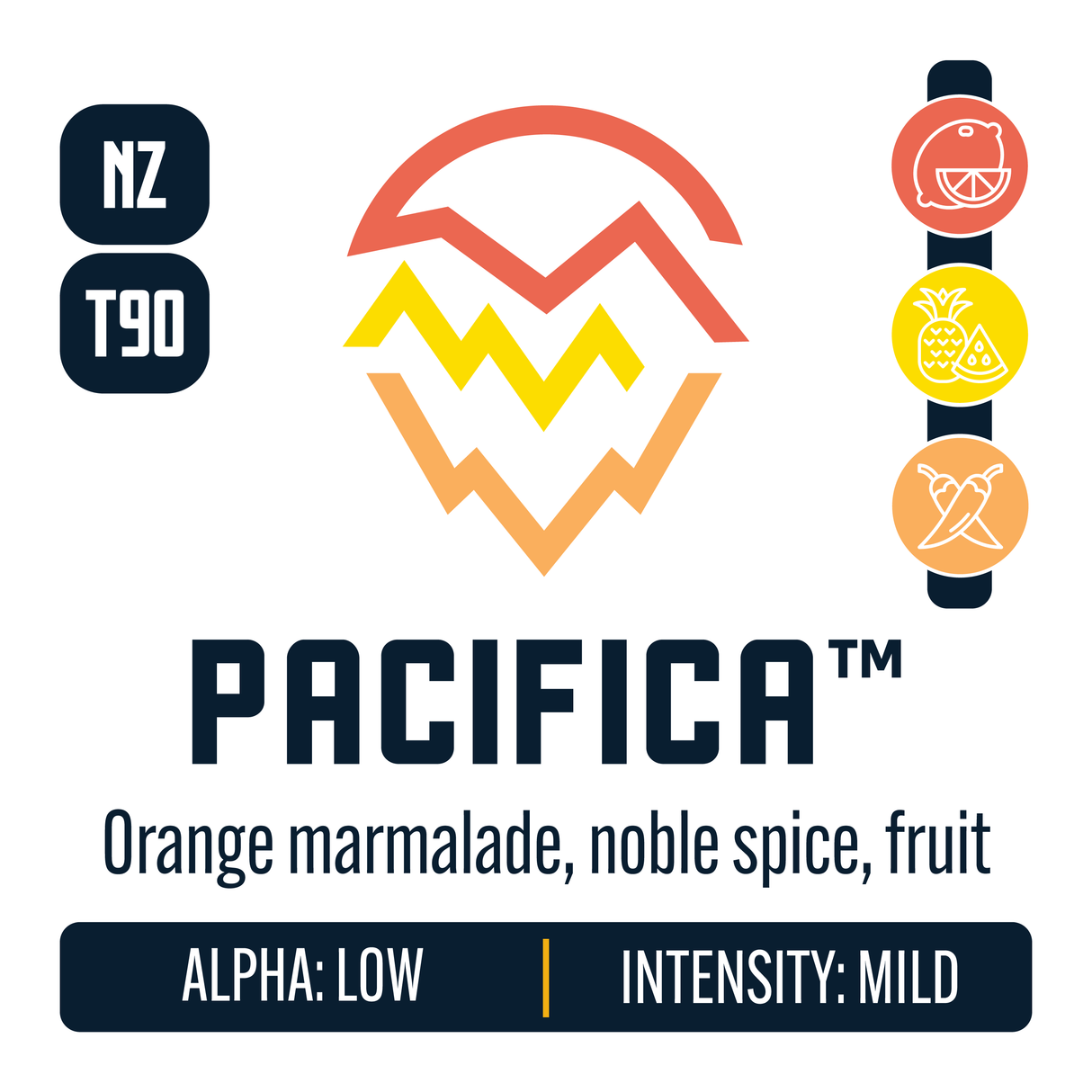 New Zealand Pacifica Hop Profile: Citrus, Sweet Fruit, Spicy