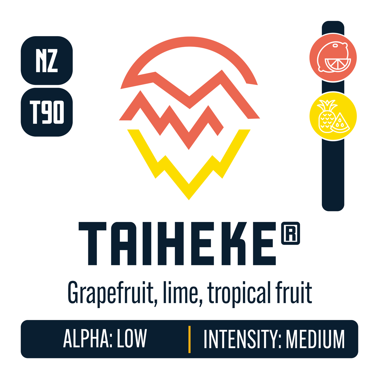 New Zealand Taiheke Hop Profile: Citrus, Sweet Fruit