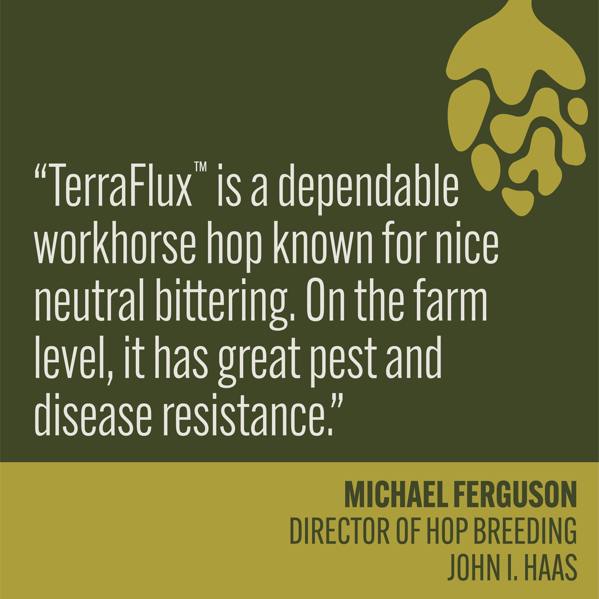 “TerraFlux™ is a dependable workhorse hop known for nice neutral bittering. On the farm level, it has great pest and disease resistance.” - Michael Ferguson, Director of Hop Breeding at John I. Haas