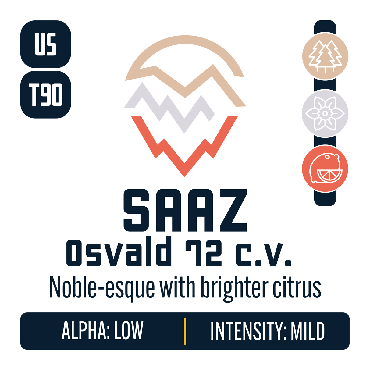 US Saaz Hop Profile: Woody Aromatic, Floral, Citrus