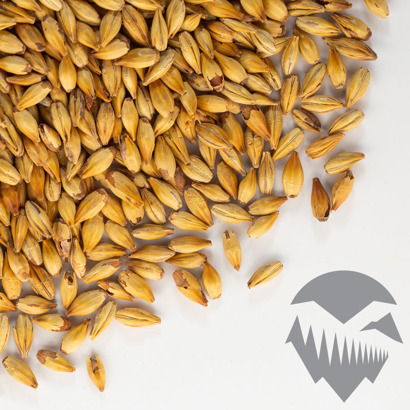 CARARYE Malt - Weyermann