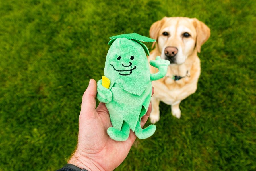 Dog Plush Toy