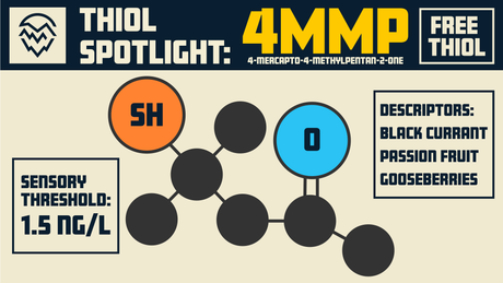 4MMP Thiol Spotlight