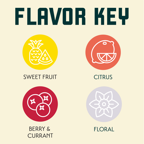 Ariana Flavor Key