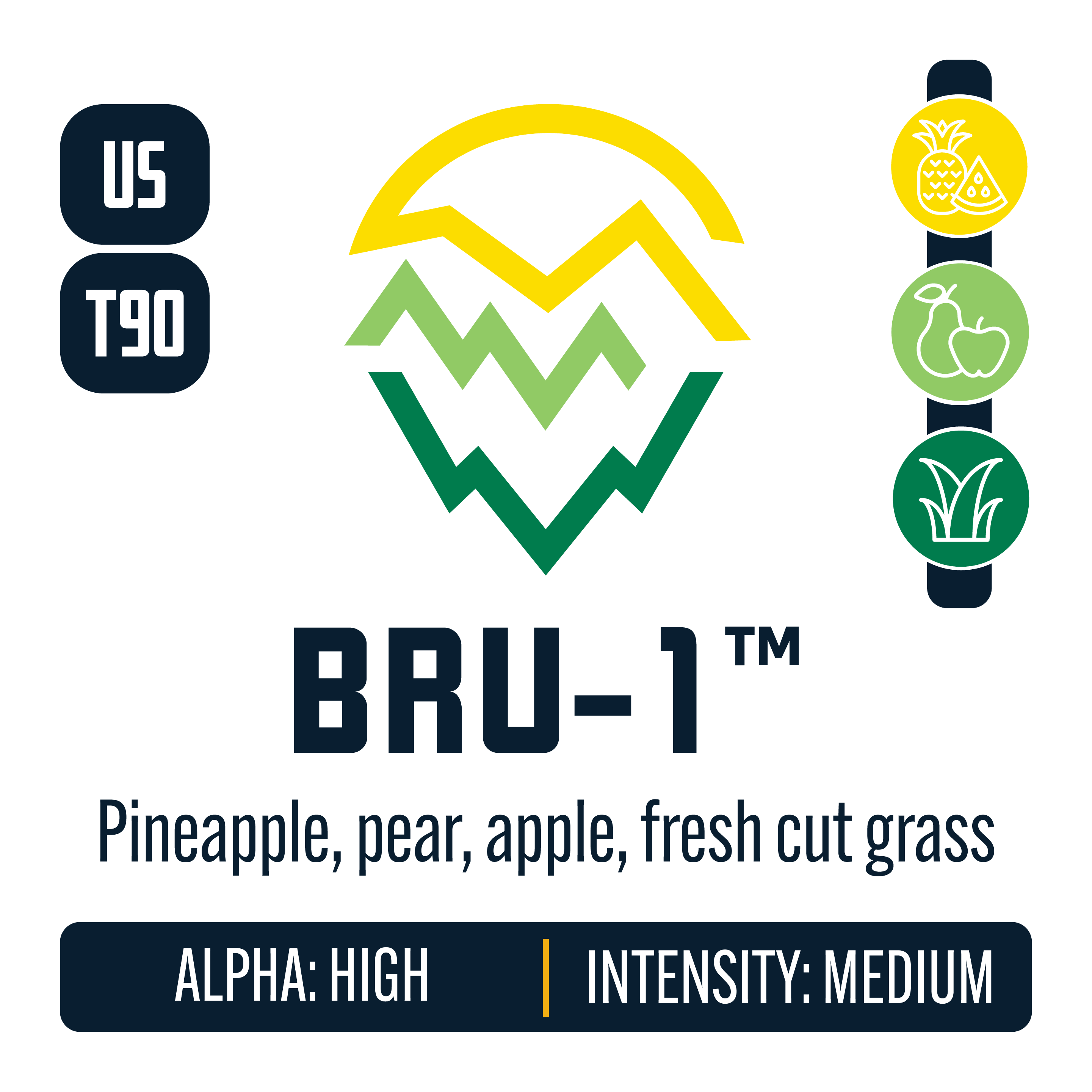 BRU-1 Hops – Yakima Valley Hops