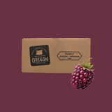 Aseptic Fruit Purees