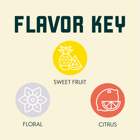 Bravo Hop Flavor Key