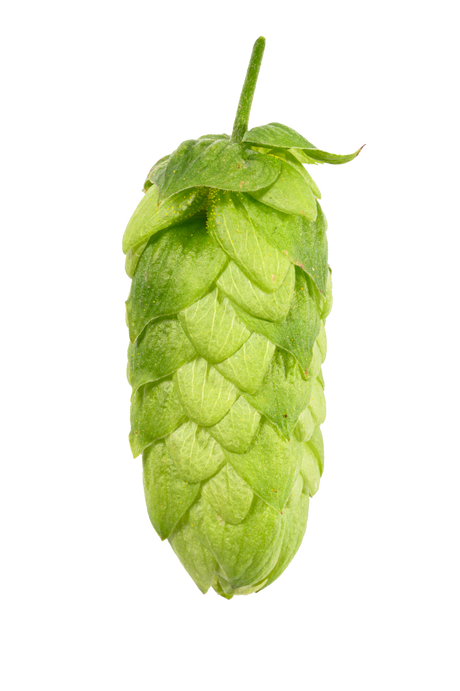 Cascade Whole Cone