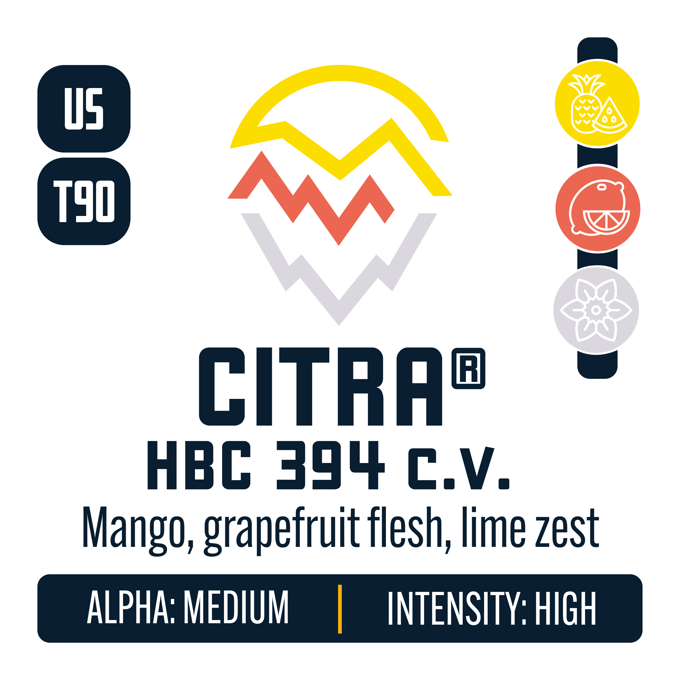 Citra Hops – Yakima Valley Hops