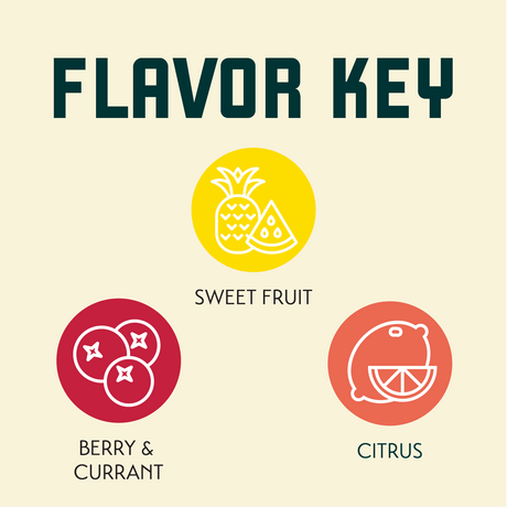 Comet Flavor Key