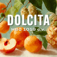 Dolcita HBC 1019 cv Hop Pellets