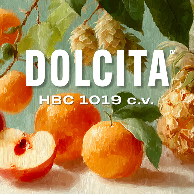 Dolcita HBC 1019 cv Hop Pellets