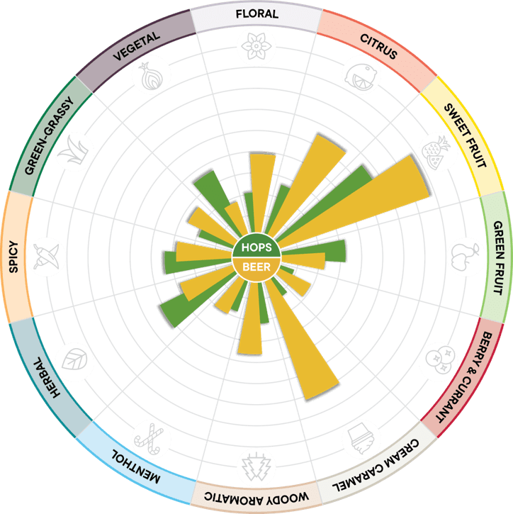 Dolcita Sensory Wheel