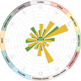 Dolcita Sensory Wheel
