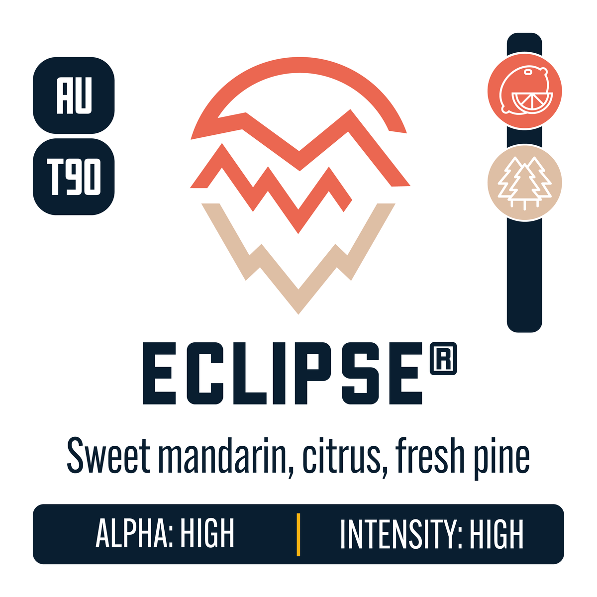 Eclipse Hops – Yakima Valley Hops