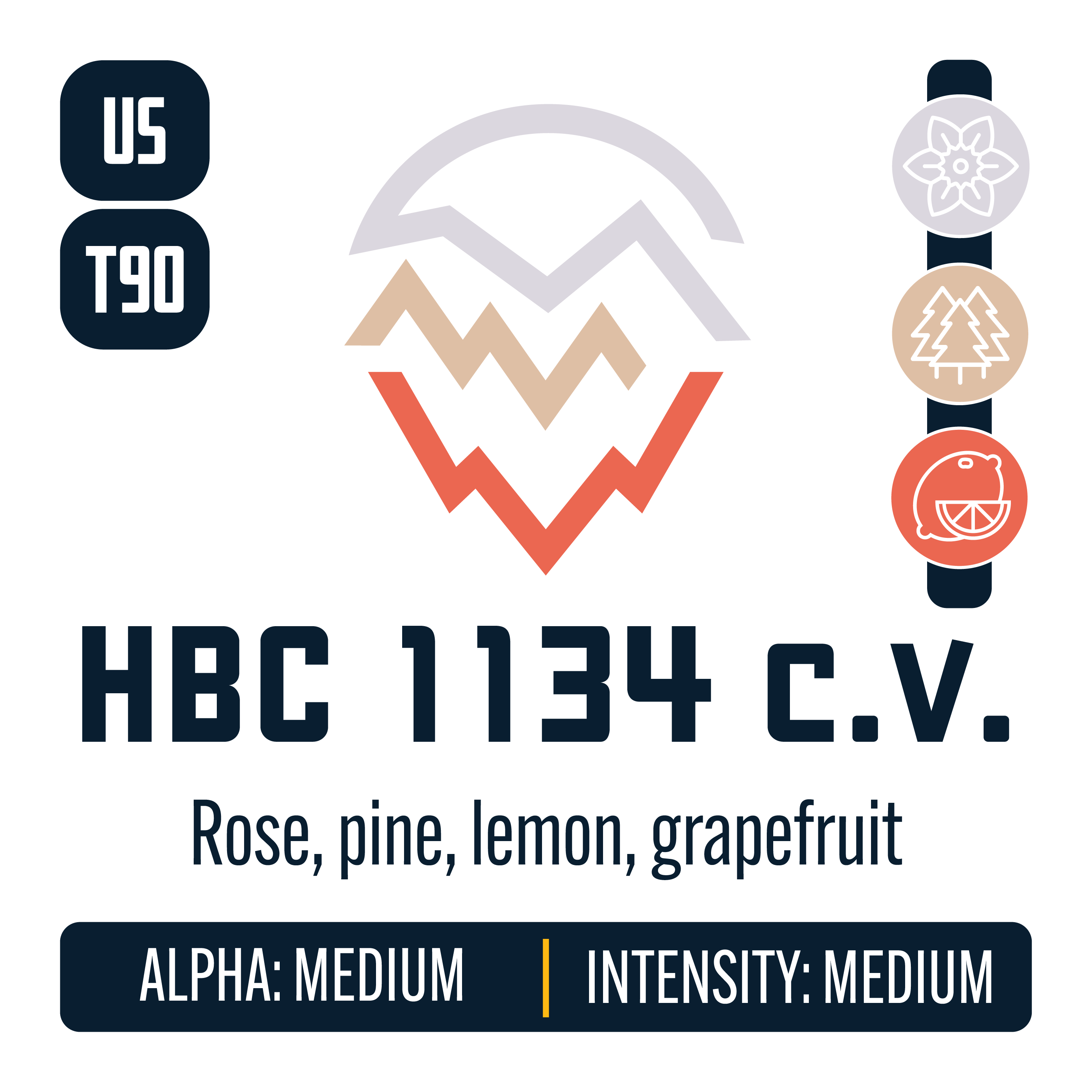 HBC 1134 Hops – Yakima Valley Hops