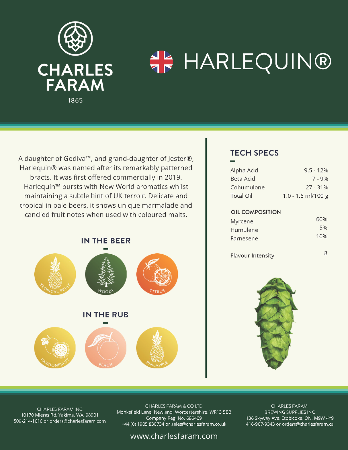 Harlequin Hops