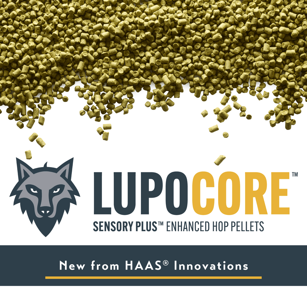 LUPOCORE