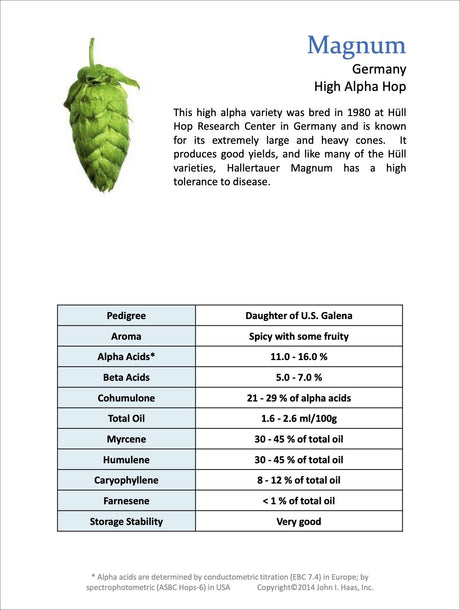 Magnum Data Sheet