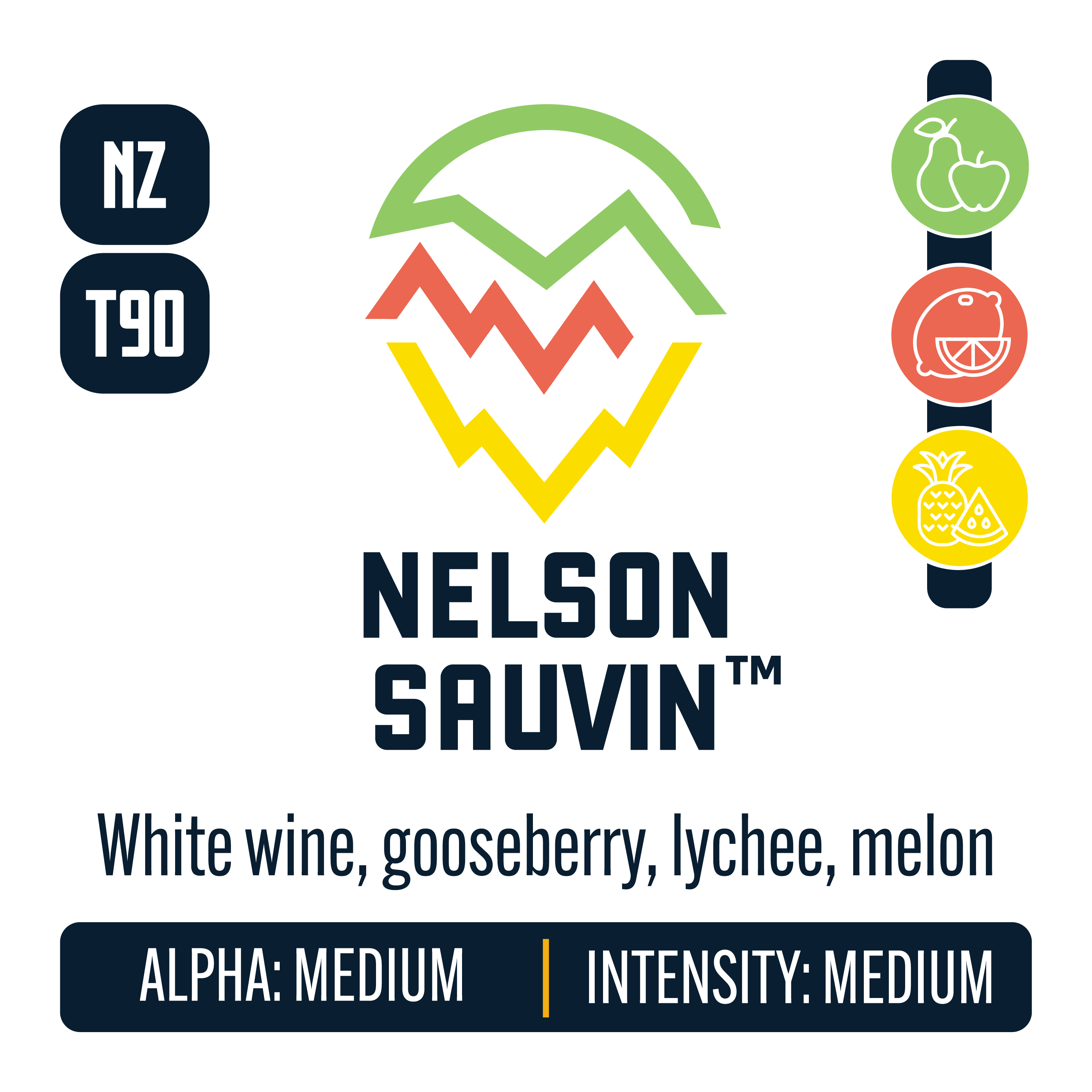 トップス sumari NYLONSHELLVEST-LOGO Nelson Sauvin Hops – Yakima Valley Hops