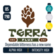 TerraFlux HBC 682 Hop Profile: Herbal, Floral, Sweet Fruit
