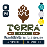 TerraFlux HBC 682 Hop Profile: Herbal, Floral, Sweet Fruit