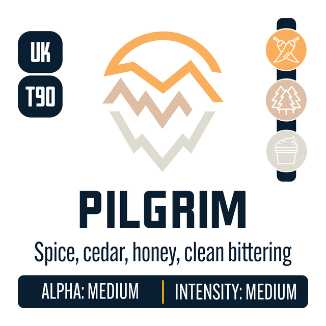 UK Pilgrim Hop Profile: Spicy, Woody Aromatic, Cream Caramel