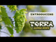TerraFlux HBC 682 Hops