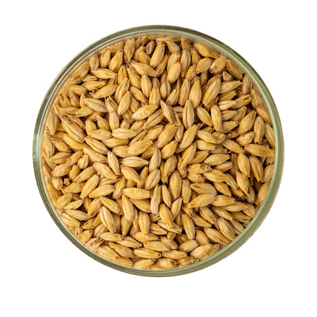 2-row-malt-rahr