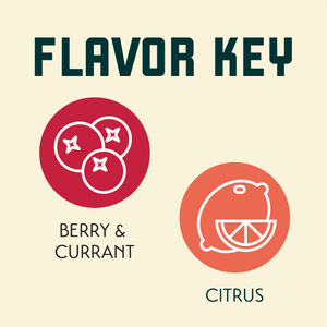 Barbe Rouge Hop Flavor Key