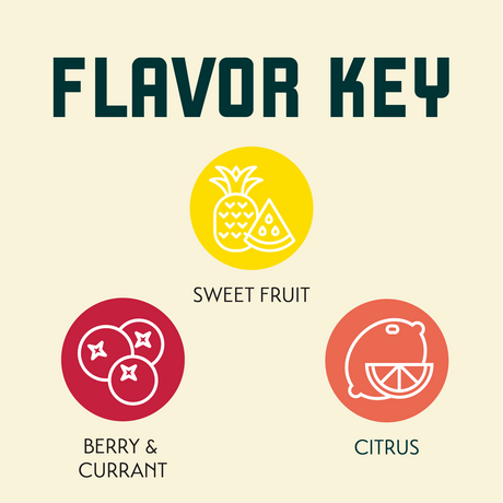 Belma Flavor Key