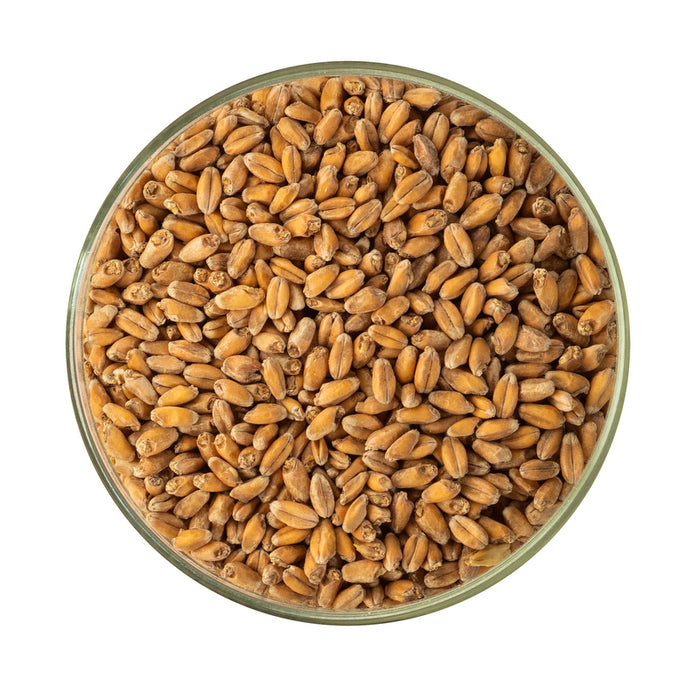 Red Wheat Malt - Briess