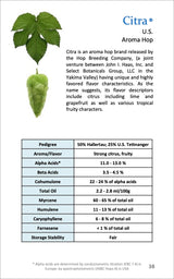 Citra Hop Breeding Info Chart