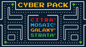 2021 Cyber Pack