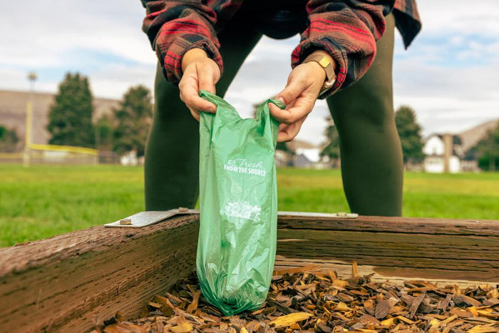 The Best EcoFriendly Dog Poop Bags No Greenwashing
