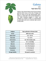 Galena Hops