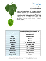 Glacier Hops Profile