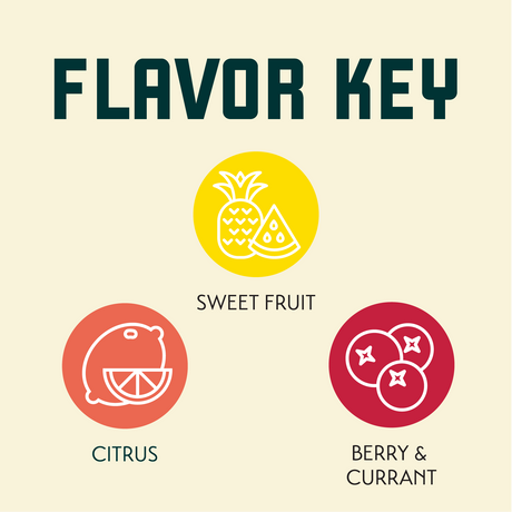 HBC 638 Flavor Key