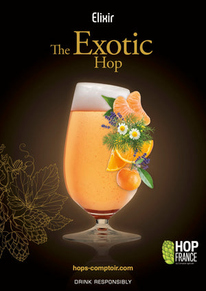 Elixir the Exotic Hop