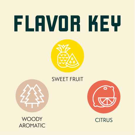 Mckenzie Hop Flavor Key