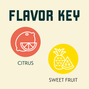 Motueka Hop Flavor Key