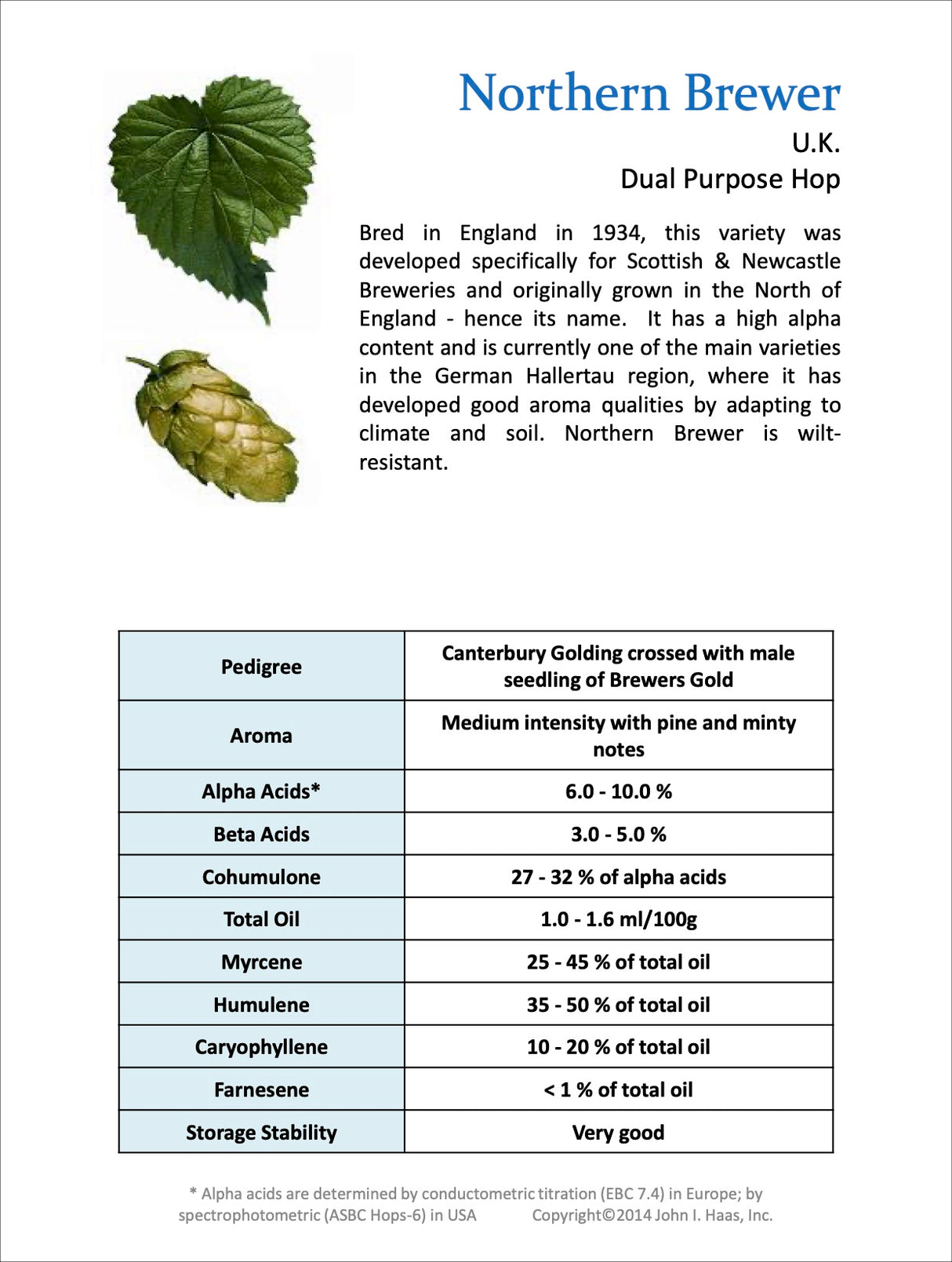 Northern Brewer Hop Profile