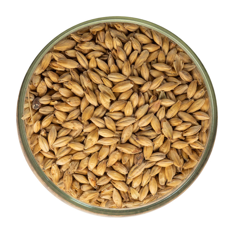 Maris Otter Malt - Crisp