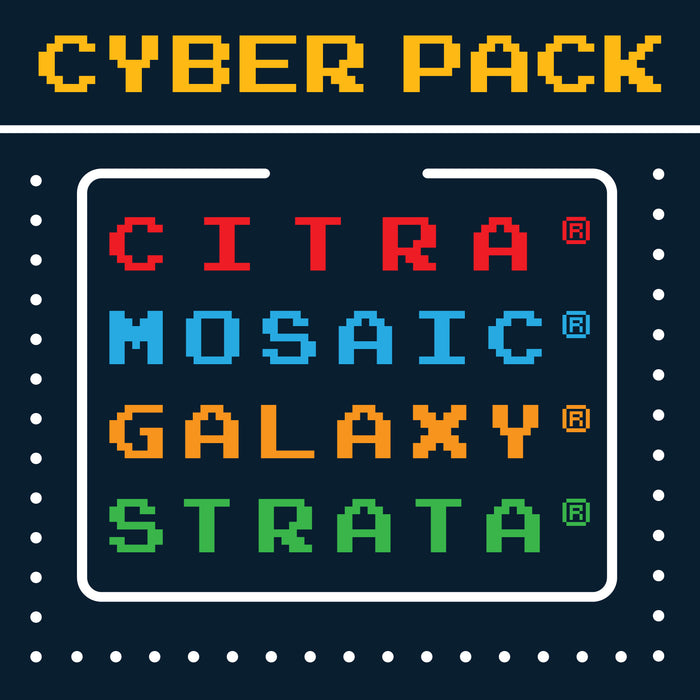 2021 Cyber Pack